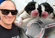 Should We Be Cloning Service Dogs? with K9 Officer Zach Pfannenstiel | Mike Drop #201 Should We Be Cloning Service Dogs? with K9 Officer Zach Pfannenstiel | Mike Drop #201