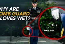 Reacts | Tomb Guard Reacts to Changing of the Guards at Tomb of the Unknown Soldiers Reacts | Tomb Guard Reacts to Changing of the Guards at Tomb of the Unknown Soldiers