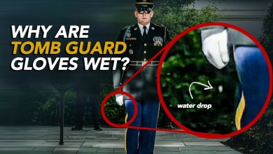 Reacts | Tomb Guard Reacts to Changing of the Guards at Tomb of the Unknown Soldiers Reacts | Tomb Guard Reacts to Changing of the Guards at Tomb of the Unknown Soldiers