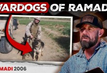 Why Dogs Were Critical to Ramadi’s Most Dangerous Operations Why Dogs Were Critical to Ramadi’s Most Dangerous Operations