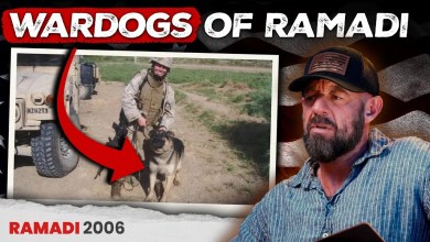 Why Dogs Were Critical to Ramadi’s Most Dangerous Operations Why Dogs Were Critical to Ramadi’s Most Dangerous Operations