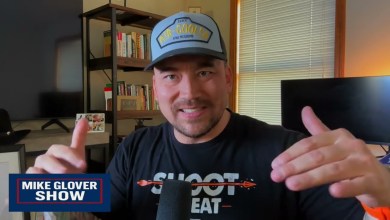 War Stories in Fight Flight Freeze War Stories in Fight Flight Freeze