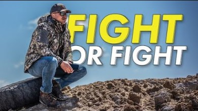Seal Team 6, MSG Bitner, Current Events, and more. Seal Team 6, MSG Bitner, Current Events, and more.