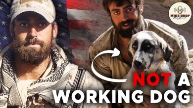 Navy SEAL Smuggles Dog Out of Afghanistan – Bringing Frank Home with Jeff Reid | Mike Drop 205 Navy SEAL Smuggles Dog Out of Afghanistan – Bringing Frank Home with Jeff Reid | Mike Drop 205