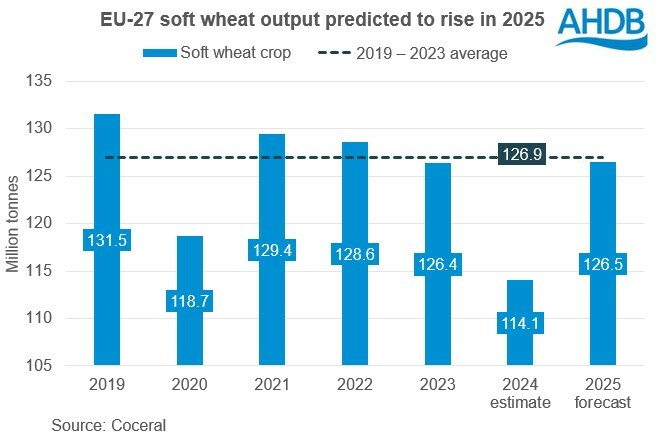 Larger EU wheat and barley crops in 2025: Grain market daily Larger EU wheat and barley crops in 2025: Grain market daily