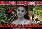 Tragic Discovery in Palawan: The Story of Jemarie Misajun Tragic Discovery in Palawan: The Story of Jemarie Misajun