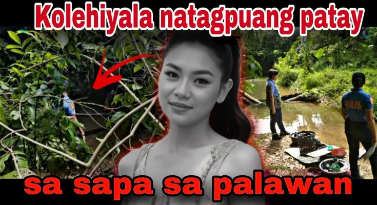 Tragic Discovery in Palawan: The Story of Jemarie Misajun Tragic Discovery in Palawan: The Story of Jemarie Misajun