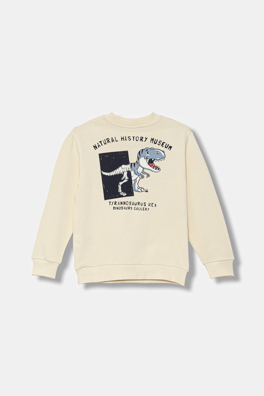 Sweat-shirt en coton Sweat-shirt en coton