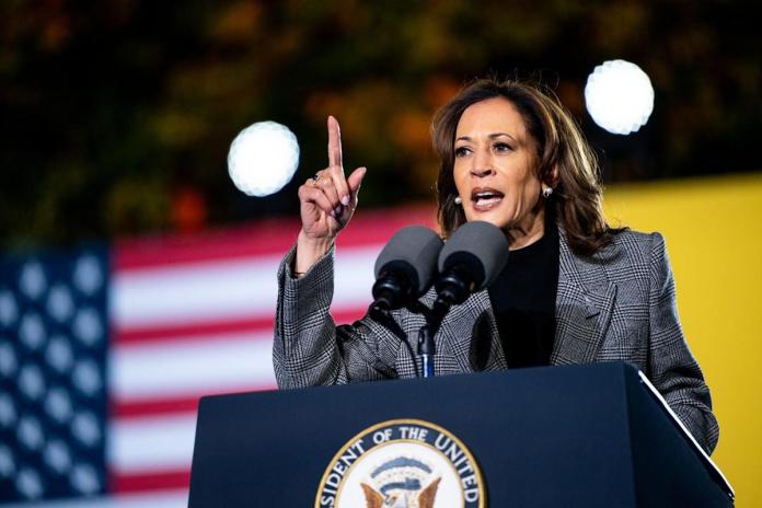 5 stocks to buy if Harris wins the election—and 5 to sell 5 stocks to buy if Harris wins the election—and 5 to sell