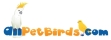 Pet Birds FAQ – Best Pets for Home Pet Birds FAQ – Best Pets for Home