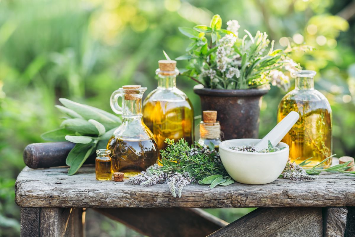 Can I Use Herbal Essence On My Dog? Find Out If They’re Safe Can I Use Herbal Essence On My Dog? Find Out If They’re Safe