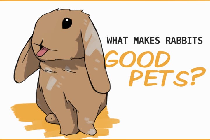 What Makes Rabbits Good Pets? What Makes Rabbits Good Pets?