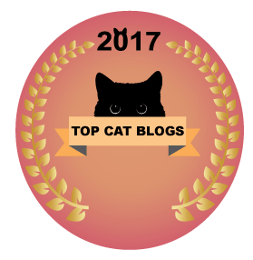 The 25 Best Cat Blogs You Should Know About In 2023: Cats.com The 25 Best Cat Blogs You Should Know About In 2023: Cats.com