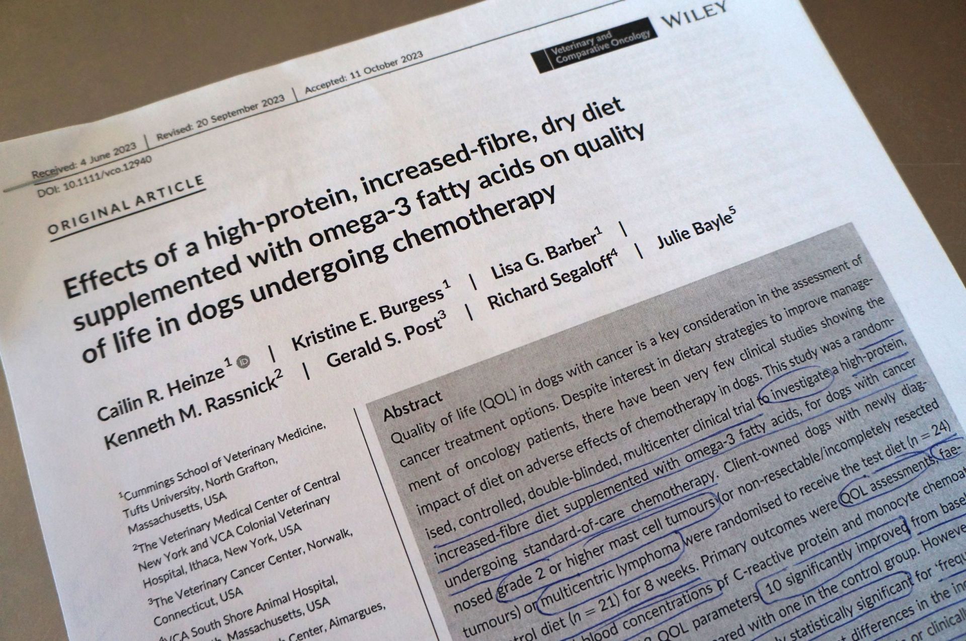 Dog Cancer Diet and Quality of Life During Chemo Dog Cancer Diet and Quality of Life During Chemo