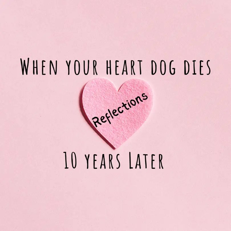 When Your Heart Dog Dies Reflections 10 Years Later When Your Heart Dog Dies Reflections 10 Years Later
