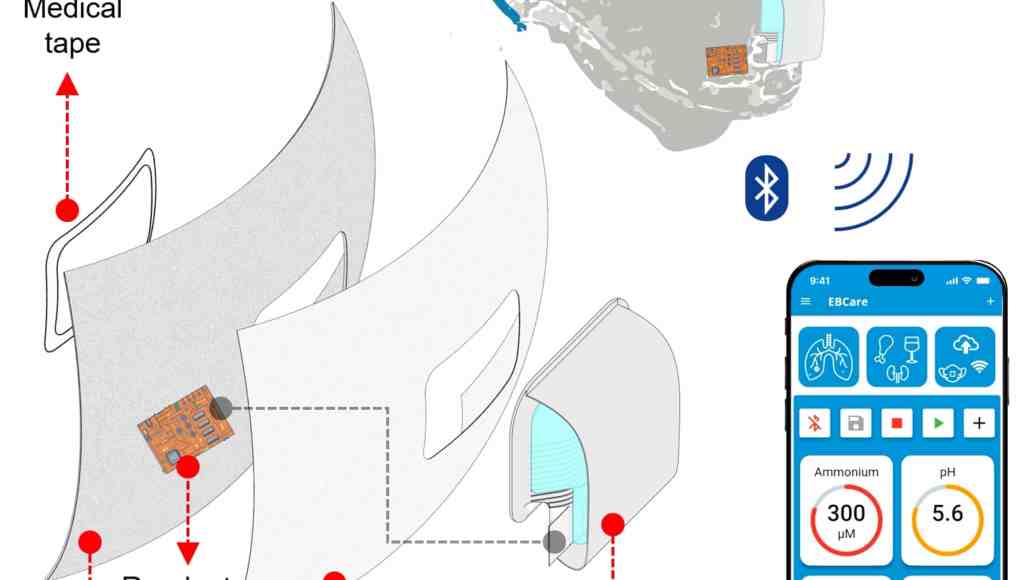 La imagen muestra un diagrama explicativo de una mascarilla inteligente equipada con un dispositivo llamado EBCare, que puede analizar la respiración del usuario y enviar los datos a una aplicación móvil a través de Bluetooth. A la izquierda, se visualizan las distintas capas de la mascarilla, donde se destaca un circuito de lectura incorporado y una cinta médica que ayuda a fijar el dispositivo. A la derecha, se muestra la mascarilla completa con el dispositivo EBCare integrado, que está conectado de forma inalámbrica a un smartphone. En la pantalla del teléfono, se pueden ver varias mediciones, incluyendo niveles de amonio, pH, alcohol y nitrito, lo que indica que el dispositivo está monitoreando estos biomarcadores en tiempo real. La imagen muestra un diagrama explicativo de una mascarilla inteligente equipada con un dispositivo llamado EBCare, que puede analizar la respiración del usuario y enviar los datos a una aplicación móvil a través de Bluetooth. A la izquierda, se visualizan las distintas capas de la mascarilla, donde se destaca un circuito de lectura incorporado y una cinta médica que ayuda a fijar el dispositivo. A la derecha, se muestra la mascarilla completa con el dispositivo EBCare integrado, que está conectado de forma inalámbrica a un smartphone. En la pantalla del teléfono, se pueden ver varias mediciones, incluyendo niveles de amonio, pH, alcohol y nitrito, lo que indica que el dispositivo está monitoreando estos biomarcadores en tiempo real.
