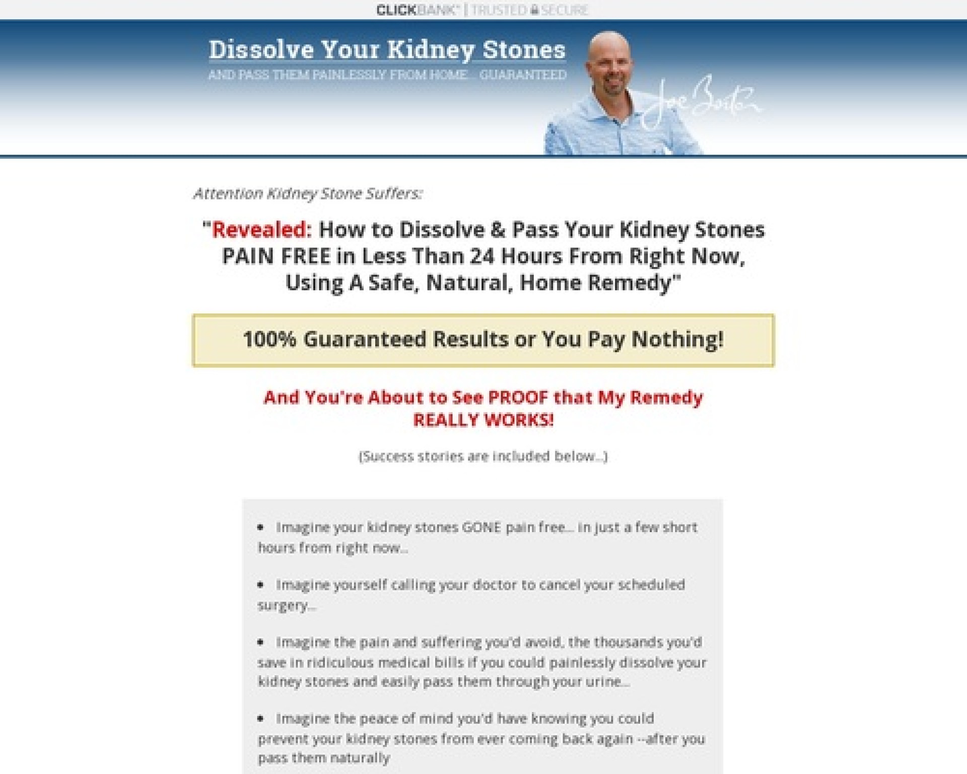 The Kidney Stone Remedy The Kidney Stone Remedy