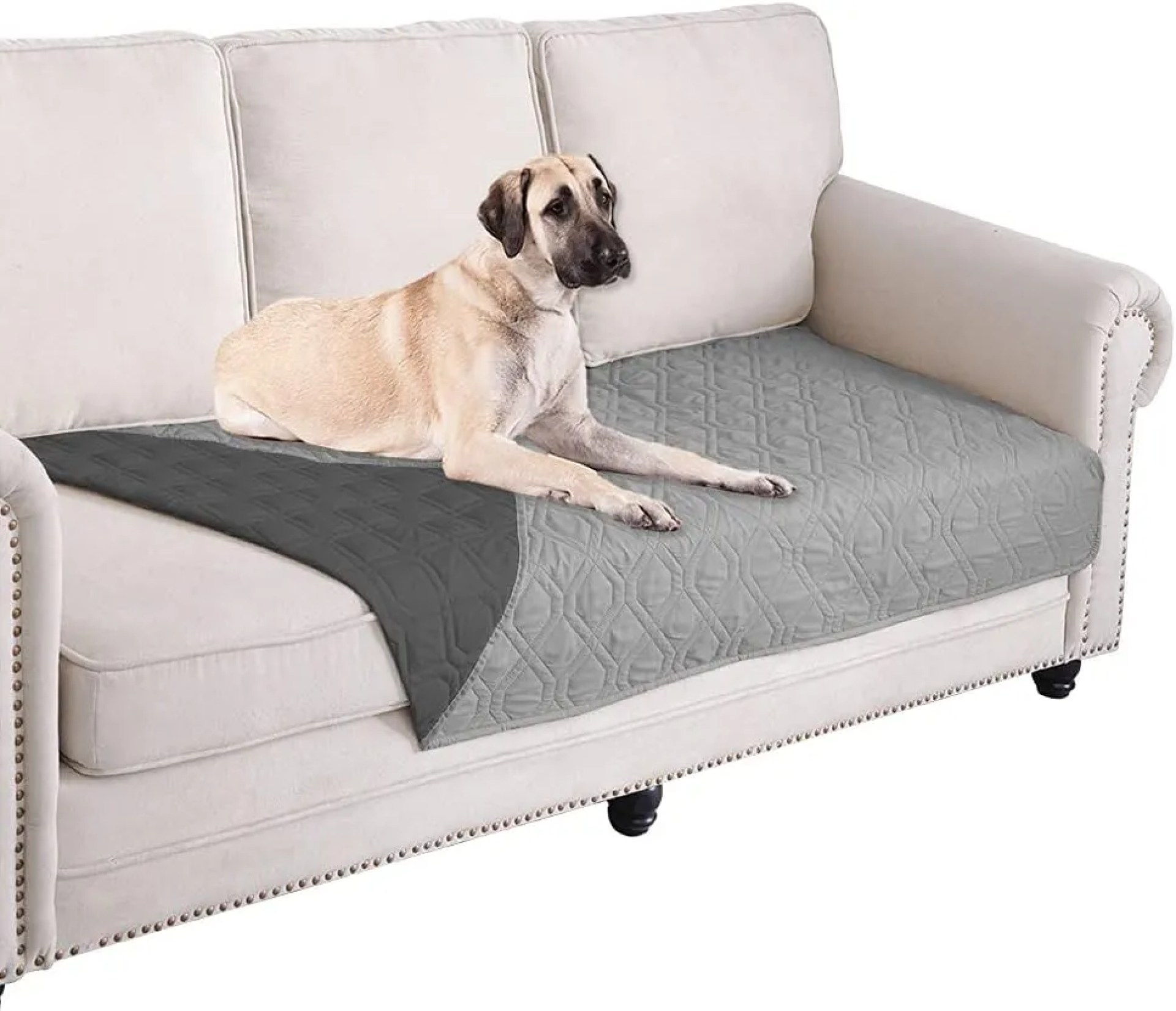 Ameritex Waterproof Dog Bed Cover Pet Blanket for Furniture Bed Couch Sofa Reversible Ameritex Waterproof Dog Bed Cover Pet Blanket for Furniture Bed Couch Sofa Reversible