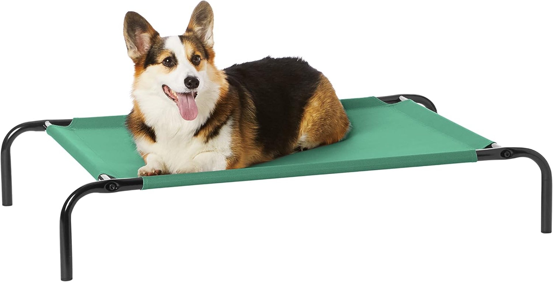 Amazon Basics Cooling Elevated Pet Bed, Medium (43 x 26 x 7.5 Inches), Green Amazon Basics Cooling Elevated Pet Bed, Medium (43 x 26 x 7.5 Inches), Green