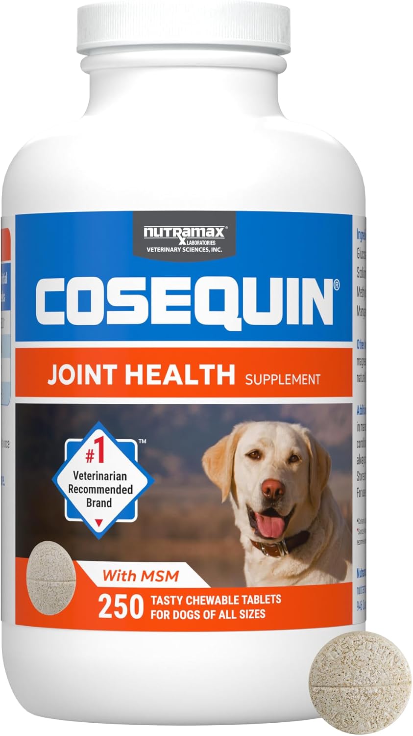 Nutramax Laboratories Cosequin Maximum Strength Joint Health Supplement for Dogs – With Glucosamine, Chondroitin, and MSM, 250 Chewable Tablets Nutramax Laboratories Cosequin Maximum Strength Joint Health Supplement for Dogs – With Glucosamine, Chondroitin, and MSM, 250 Chewable Tablets