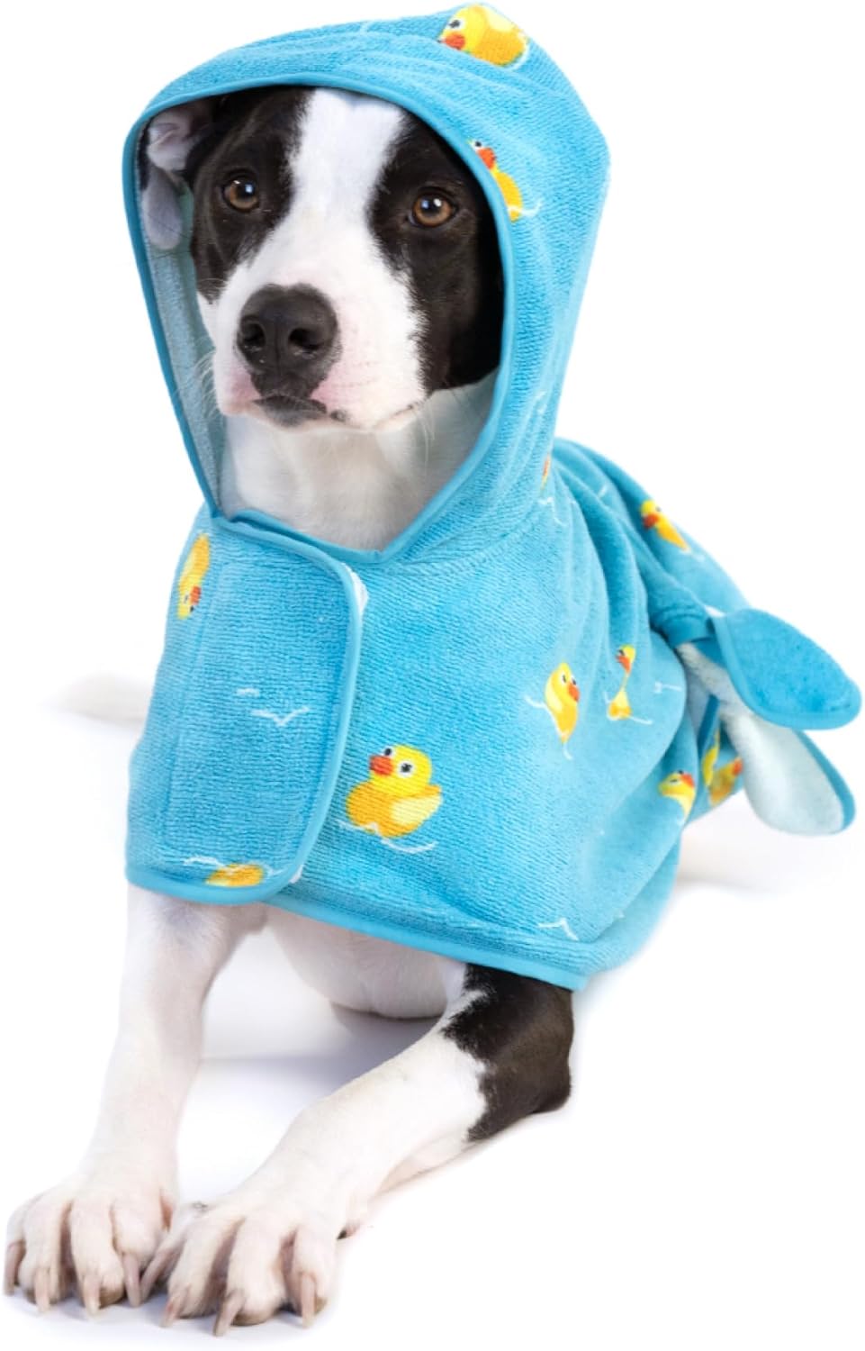 Barkbox Dog Bathrobe Fast Drying with Hook and Loop Closure & Wrap Tie Snuggle, Cute Dogs Clothes, Easy to Clean, Machine Washable, Dog Coats and Tumble Dry Low – Rubber Duck, Medium Barkbox Dog Bathrobe Fast Drying with Hook and Loop Closure & Wrap Tie Snuggle, Cute Dogs Clothes, Easy to Clean, Machine Washable, Dog Coats and Tumble Dry Low – Rubber Duck, Medium