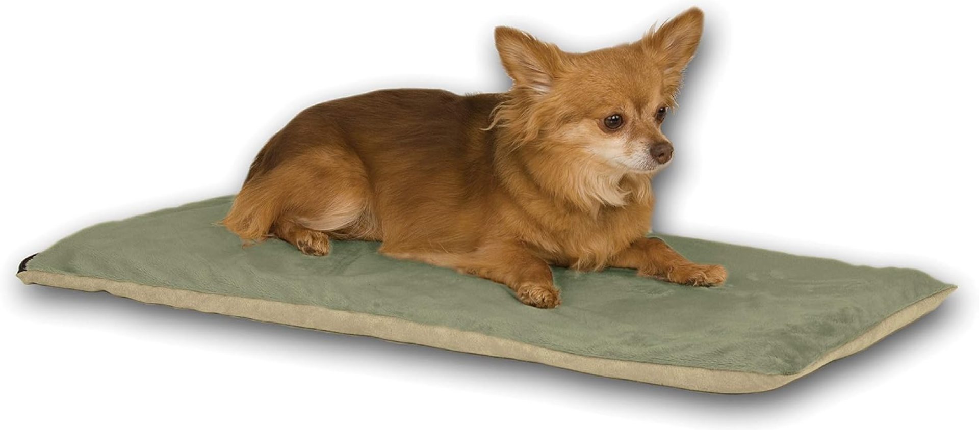 K&H Pet Products Indoor Heated Cat Bed Pad for Large Cats & Small Dogs, Thermo-Pet Mat Calming Warming Pet Heating Pad, Machine Washable, Waterproof Heater, Safety Listed – 12.5 X 25in Sage K&H Pet Products Indoor Heated Cat Bed Pad for Large Cats & Small Dogs, Thermo-Pet Mat Calming Warming Pet Heating Pad, Machine Washable, Waterproof Heater, Safety Listed – 12.5 X 25in Sage