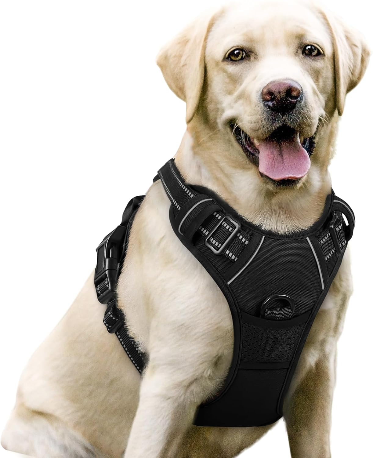 rabbitgoo Dog Harness No Pull with 2 Leash Clips, Adjustable Soft Padded, Reflective Oxford No Choke Pet Vest with Easy Control Handle for Large Dogs, Black, L rabbitgoo Dog Harness No Pull with 2 Leash Clips, Adjustable Soft Padded, Reflective Oxford No Choke Pet Vest with Easy Control Handle for Large Dogs, Black, L
