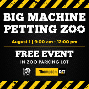 Big Machine Petting Zoo Big Machine Petting Zoo