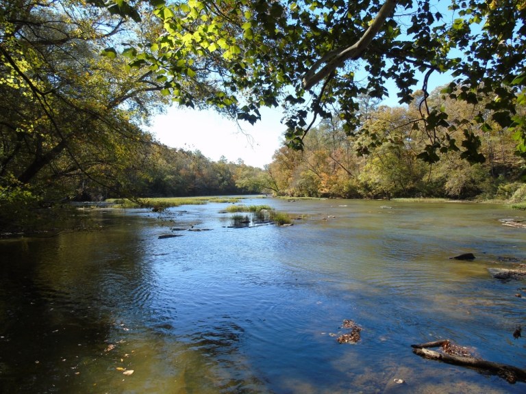 3 easy ways you can help keep Birmingham’s water clean 3 easy ways you can help keep Birmingham’s water clean
