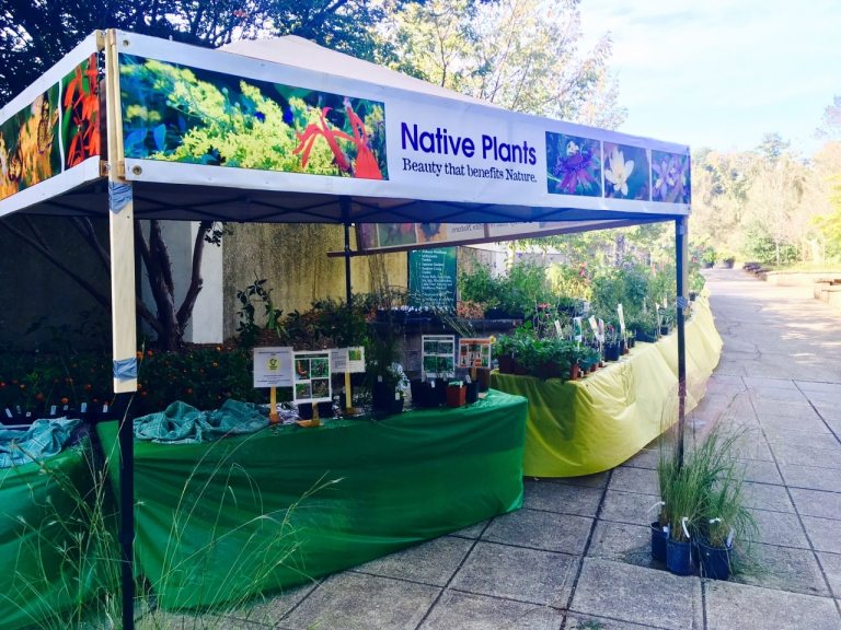 5 plant shopping spots in Birmingham 5 plant shopping spots in Birmingham