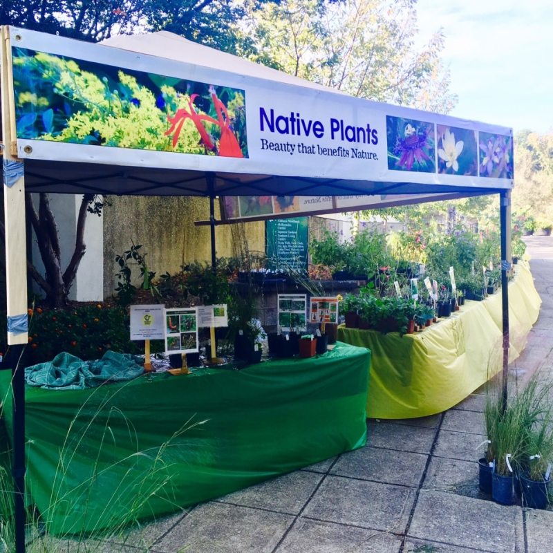 5 plant shopping spots in Birmingham 5 plant shopping spots in Birmingham