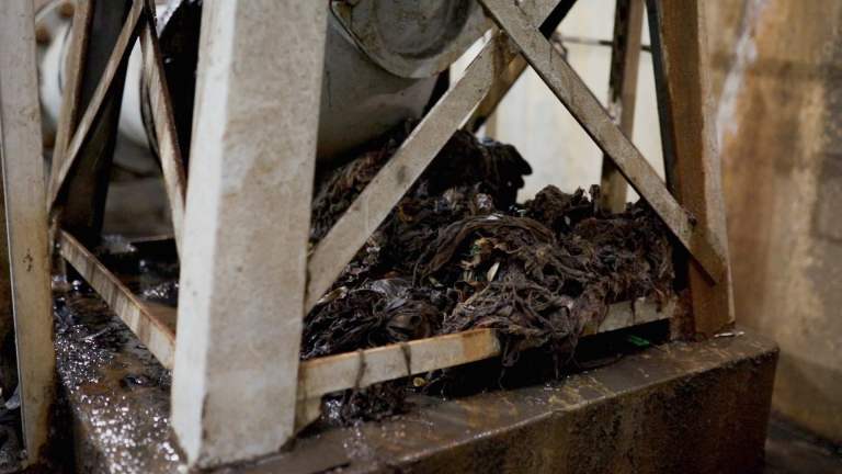 Can’t flush this: the hidden culprit that’s clogging pipes + could cost you a fortune Can’t flush this: the hidden culprit that’s clogging pipes + could cost you a fortune