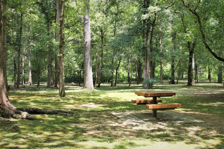 Beat the heat in these 5 shaded parks in Birmingham Beat the heat in these 5 shaded parks in Birmingham