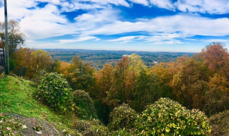 Hoover named one of the best places to live in the U.S. by Livability Hoover named one of the best places to live in the U.S. by Livability