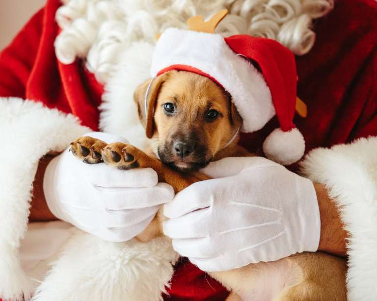 27 joyous December events in Birmingham—plan now 27 joyous December events in Birmingham—plan now