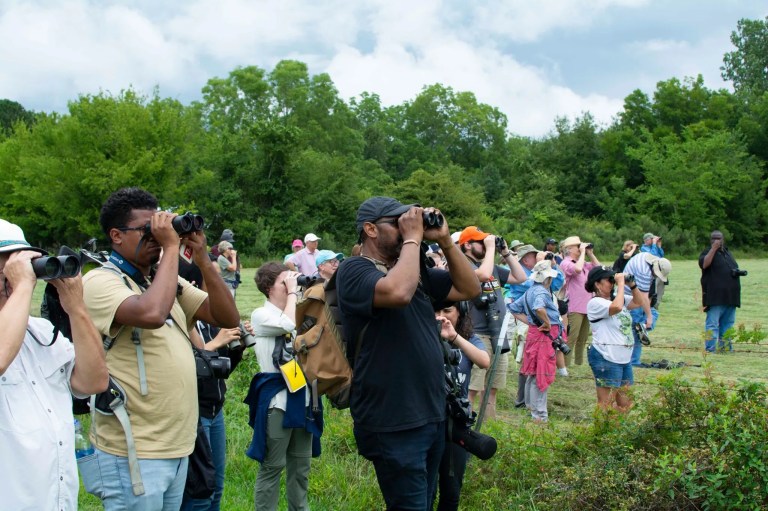 7 nature events in Birmingham to kick off your 2023 7 nature events in Birmingham to kick off your 2023