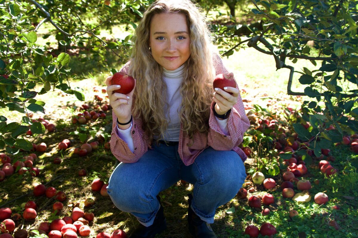 4 apple picking orchards just in time for fall + the easiest apple galette recipe ever!