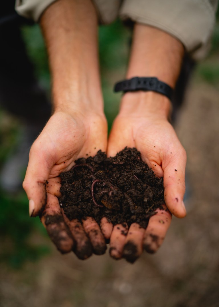 8 Birmingham restaurants that are composting with Field Culture Compost 8 Birmingham restaurants that are composting with Field Culture Compost