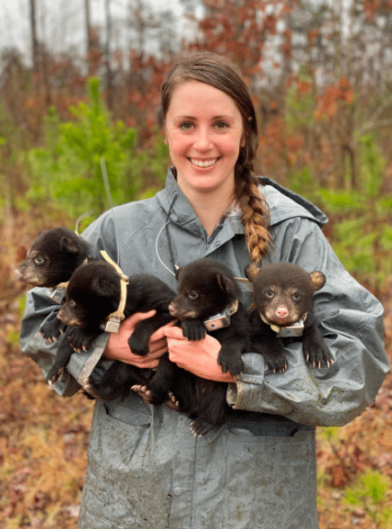 North Shelby County Black Bear is this summer’s social media sensation North Shelby County Black Bear is this summer’s social media sensation
