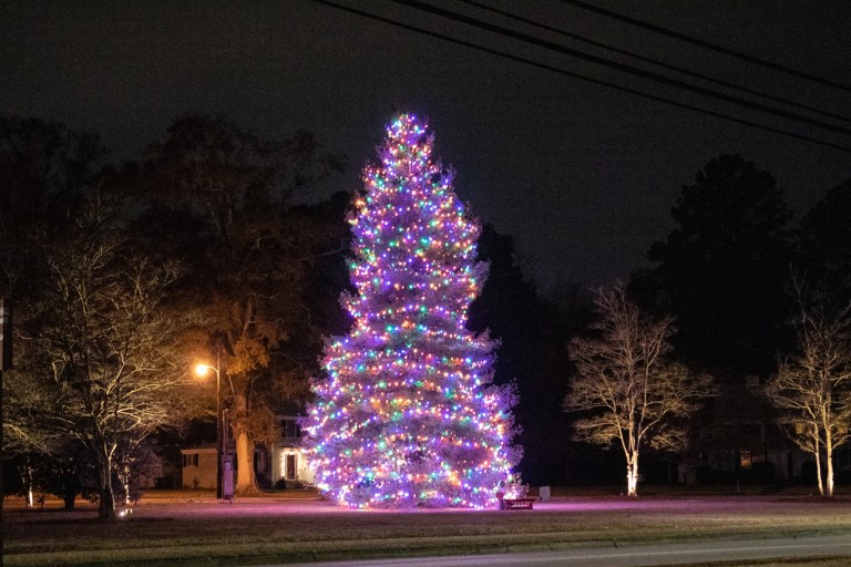 How to reuse your Christmas tree + drop-off locations in the Birmingham area How to reuse your Christmas tree + drop-off locations in the Birmingham area