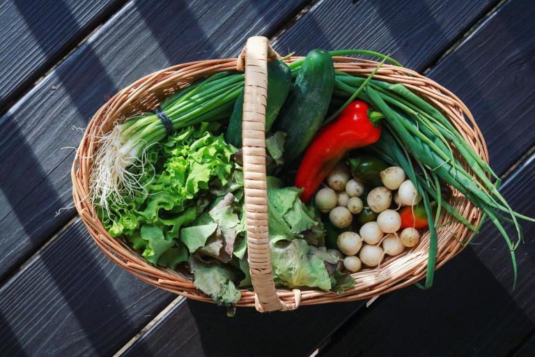 3 local Community Supported Agriculture shares available for home delivery 3 local Community Supported Agriculture shares available for home delivery