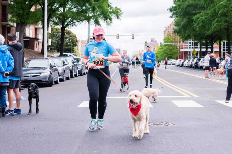20 weekend events in Birmingham including Mutt Strut, April 19-21 20 weekend events in Birmingham including Mutt Strut, April 19-21
