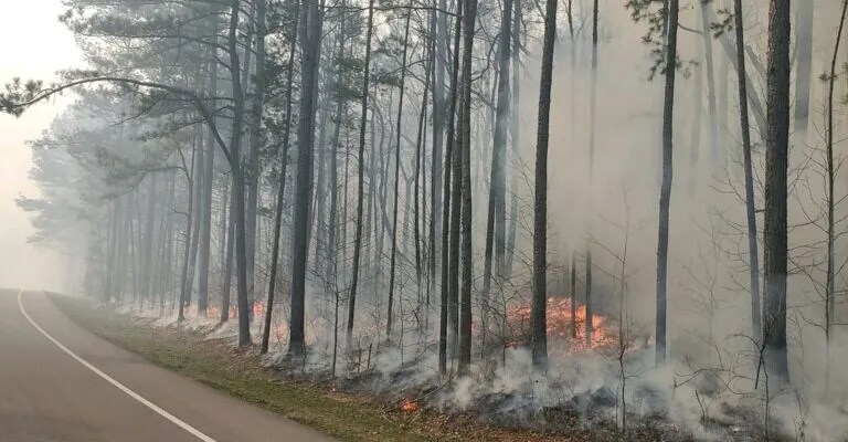 Prescribed fire at Oak Mountain State Park: What you need to know Prescribed fire at Oak Mountain State Park: What you need to know