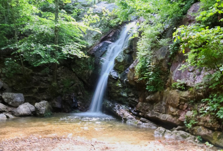 5 Birmingham hiking trails you need to check out today for spectacular views, wildlife + more 5 Birmingham hiking trails you need to check out today for spectacular views, wildlife + more
