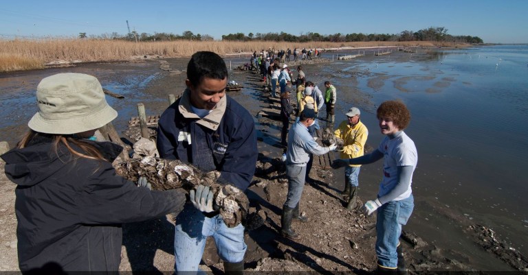 See how recycling 15.5M + oyster shells helps restore Alabama’s shores See how recycling 15.5M + oyster shells helps restore Alabama’s shores