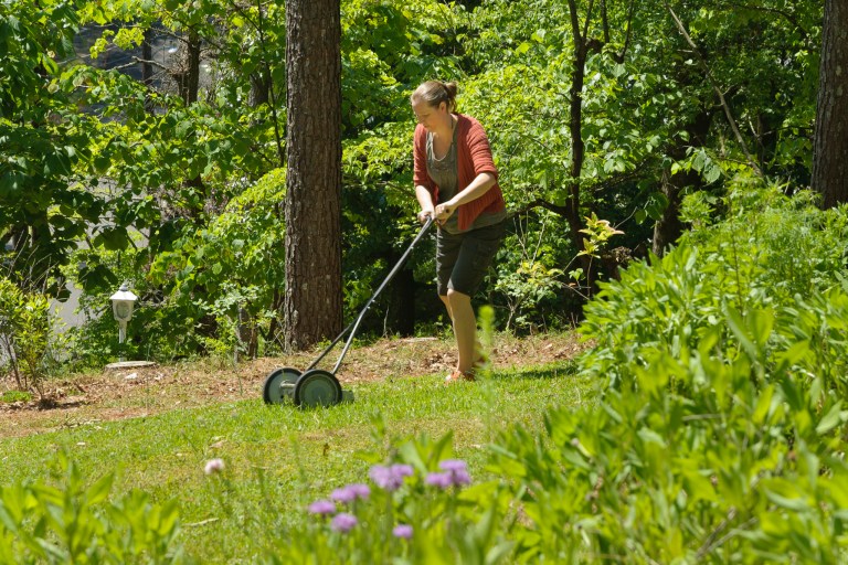 7 ways to replace your lawn in Birmingham with something more beautiful 7 ways to replace your lawn in Birmingham with something more beautiful