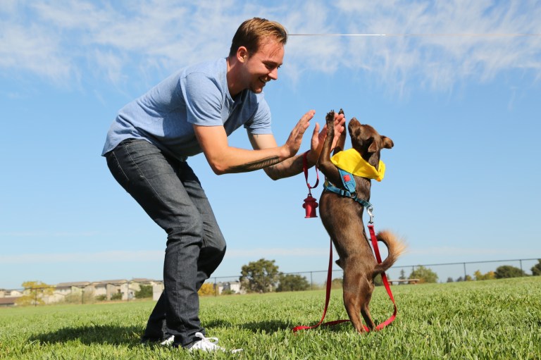 Now the Weekend: Artwalk, DogFest Alabama + more Now the Weekend: Artwalk, DogFest Alabama + more