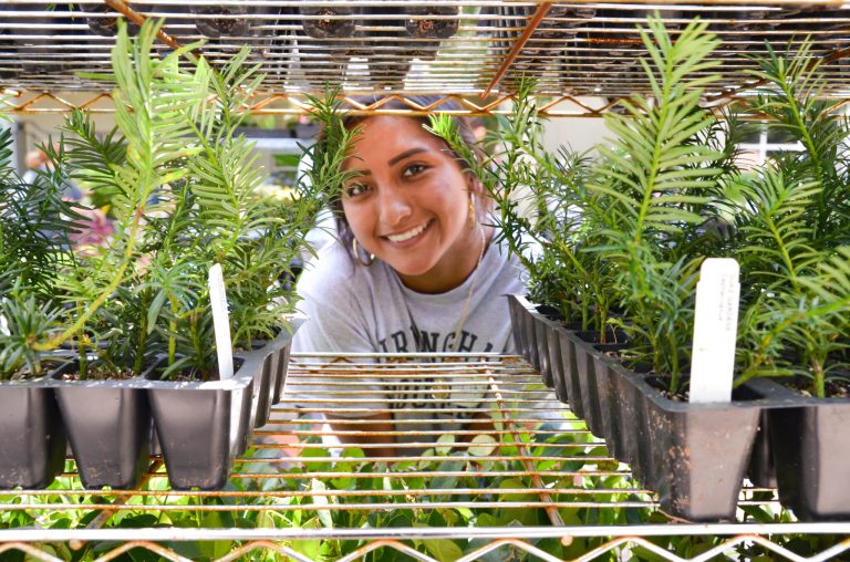 Friends of Birmingham Botanical Gardens Fall Plant Sale is back—Sept. 11 Friends of Birmingham Botanical Gardens Fall Plant Sale is back—Sept. 11