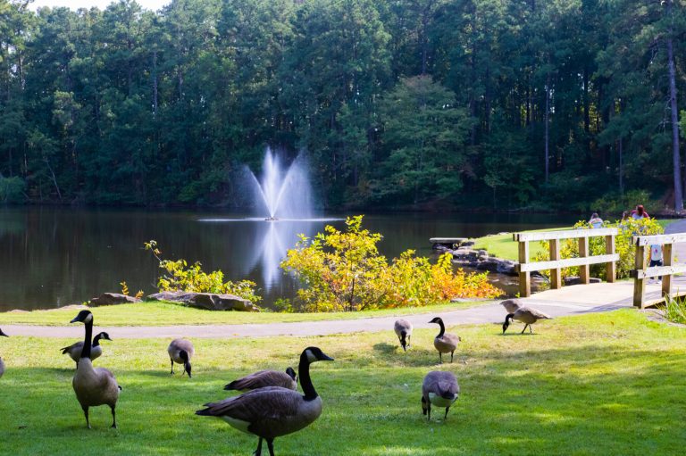 2025 Livability Rankings: Hoover among top 100 cities to live in U.S. 2025 Livability Rankings: Hoover among top 100 cities to live in U.S.