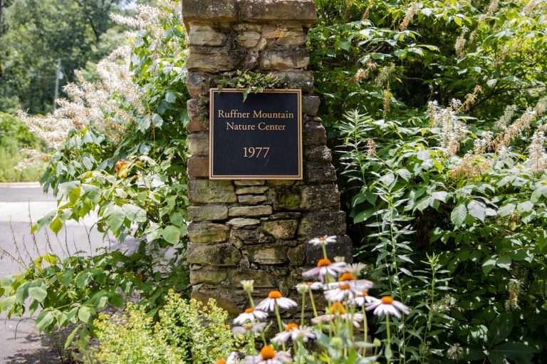 Get your green on with these 6 Magic City conservation events Get your green on with these 6 Magic City conservation events